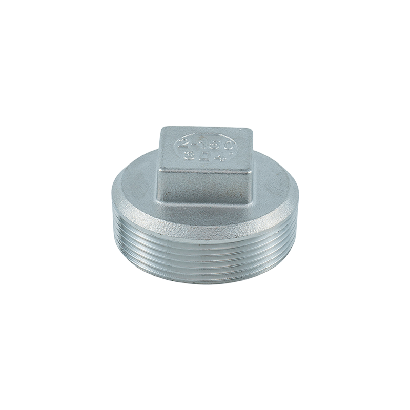 DN50 Threaded Plug DN50 Threaded Plug